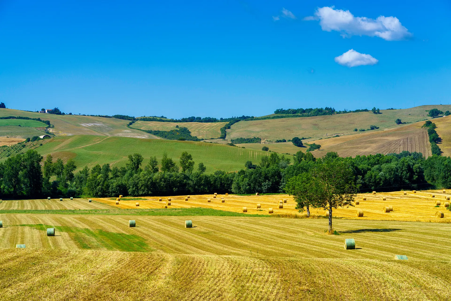 Invest in Lazio Settore Agrifood 01